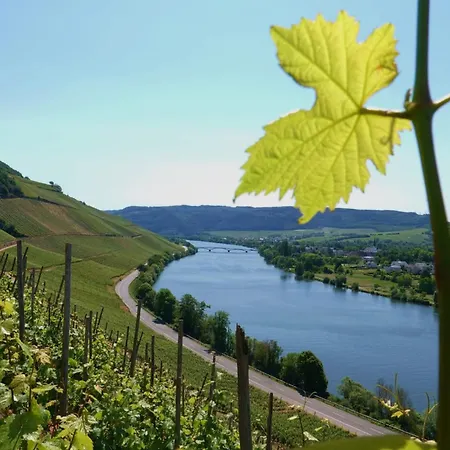 Apartman Neue Mosel-glueck - Urlaub Im Wein- Und Ferienort - Direkte Autobahnanbindung Nach Trier & Luxembourg