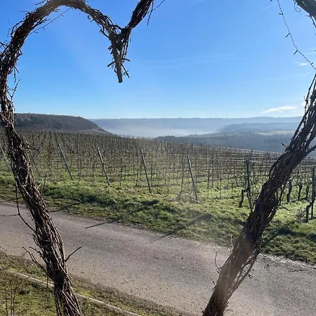 Neue Mosel-glueck - Urlaub Im Wein- Und Ferienort - Direkte Autobahnanbindung Nach Trier & Luxembourg Lejlighed