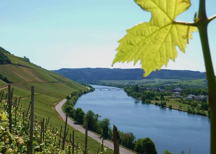 Apartament Neue Mosel-glueck - Urlaub Im Wein- Und Ferienort - Direkte Autobahnanbindung Nach Trier & Luxembourg